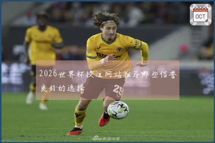 2026世界杯投注网站推荐哪些信誉良好的选择