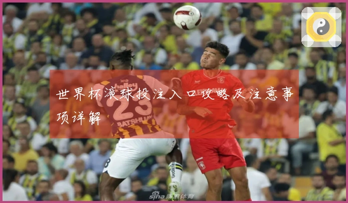 世界杯滚球投注入口攻略及注意事项详解