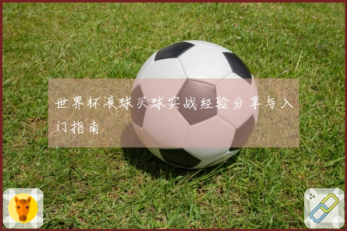 世界杯滚球买球实战经验分享与入门指南