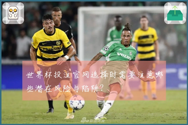 世界杯投注官网选择时需要注意哪些潜在风险与陷阱？