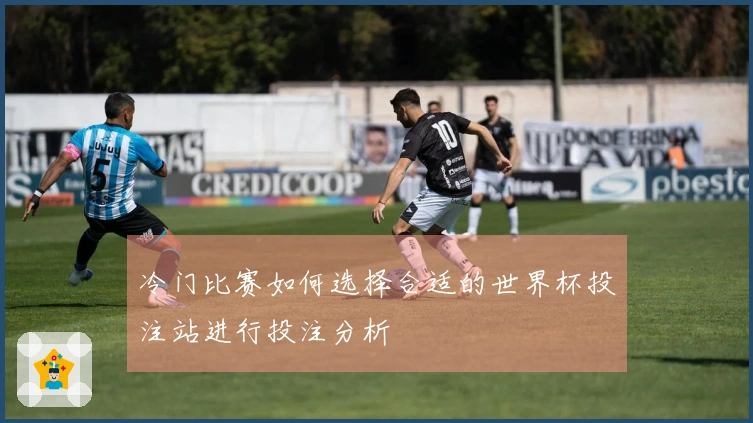 冷门比赛如何选择合适的世界杯投注站进行投注分析