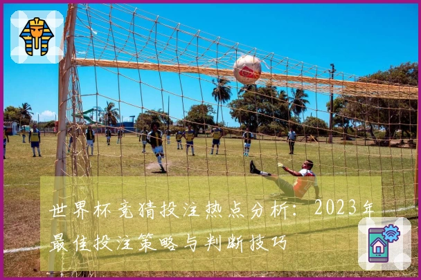 世界杯竞猜投注热点分析：2023年最佳投注策略与判断技巧