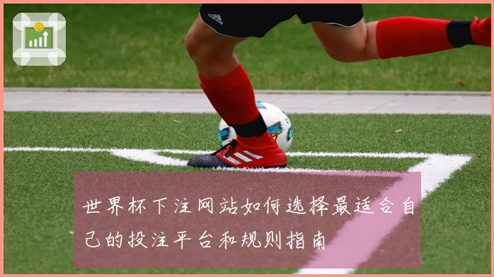 世界杯下注网站如何选择最适合自己的投注平台和规则指南